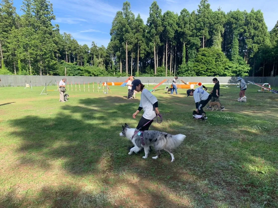 ５月３０日