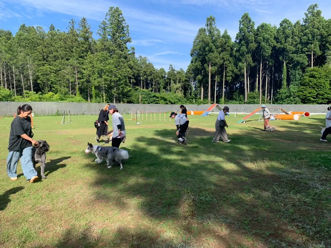 ５月３０日