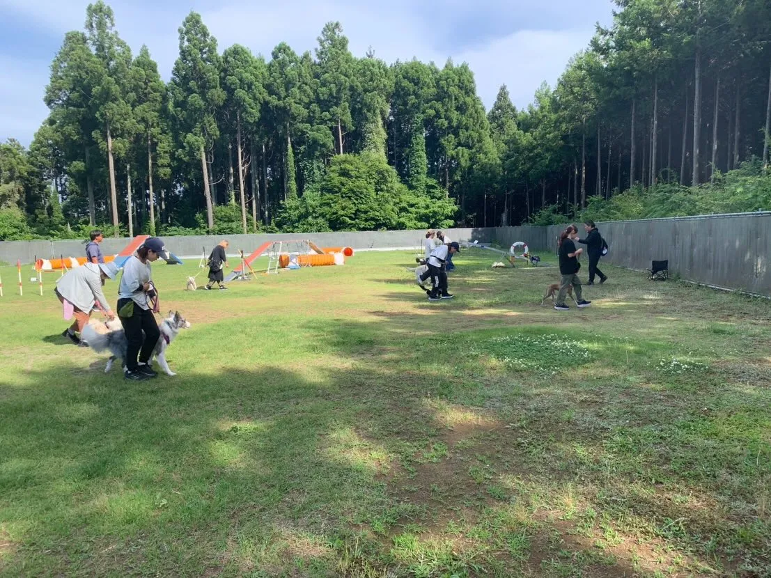 ５月３０日