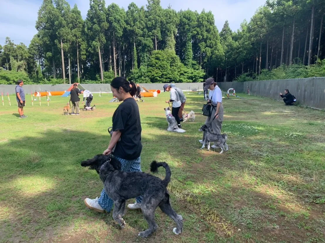５月３０日