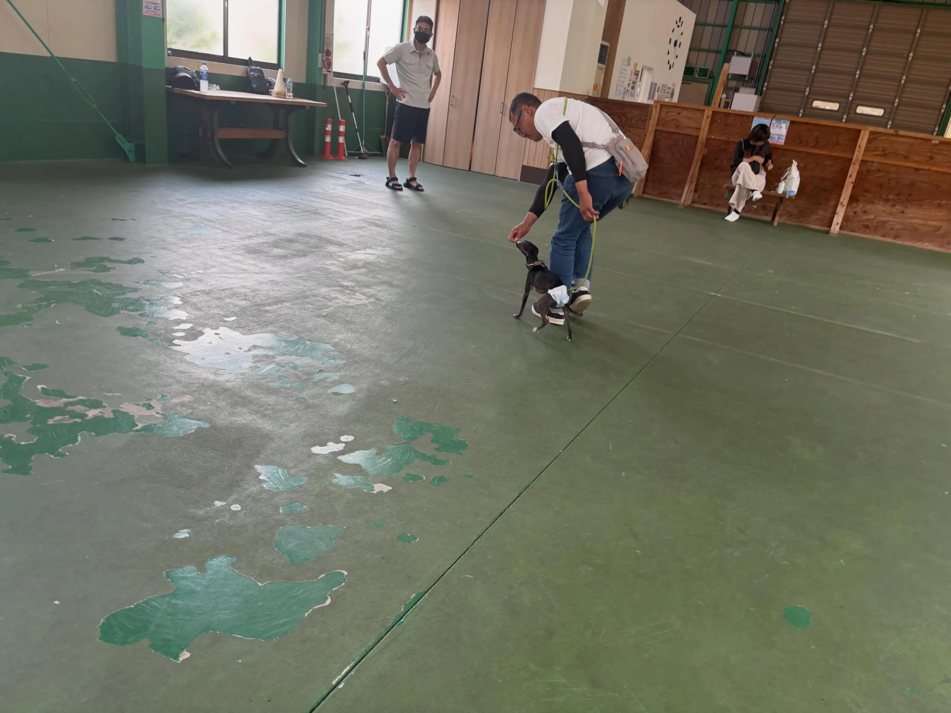 ６月１３日パピースクール